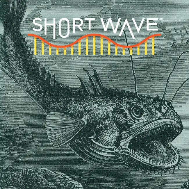 Anglerfish Ancestors Once Roamed The Seafloor