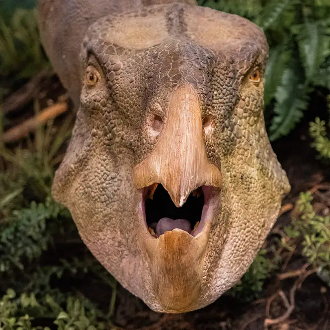 The Day The Dinosaurs Died