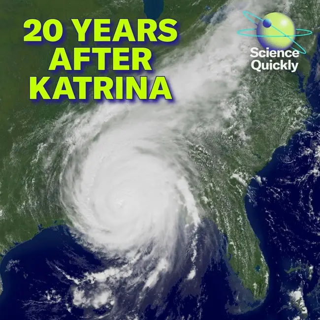 Katrina Was Predicted: Revisiting Warning Signs 20 Years Later ...
