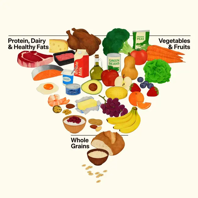 A dietitian and doctor review RFK Jr's new food pyramid