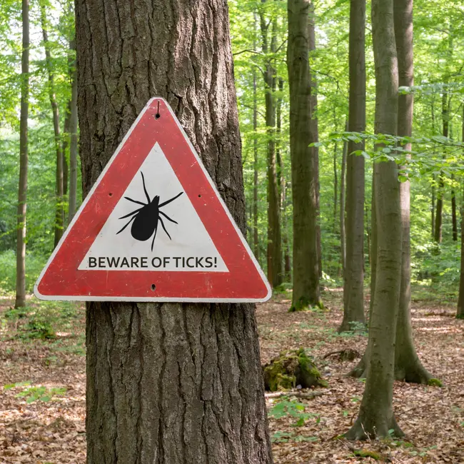 Ticks are a growing problem, no matter where you live