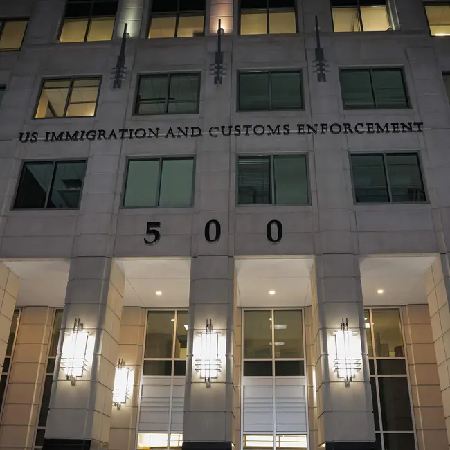Trump immigration application pause throws lives in limbo