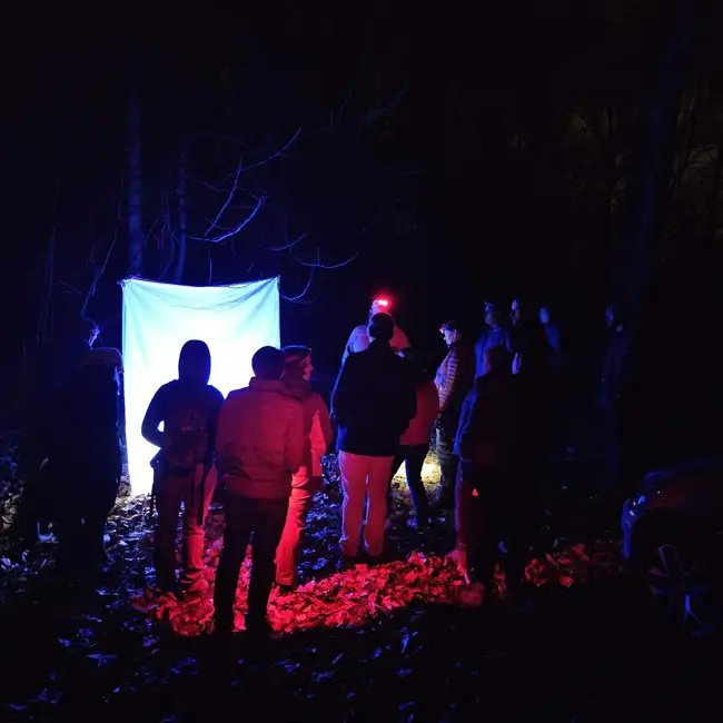 Come critter spotting with us on a cold winter's night