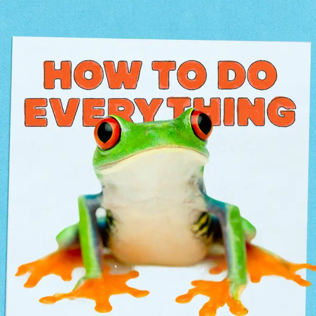 Gum, Frogs and Fred Armisen