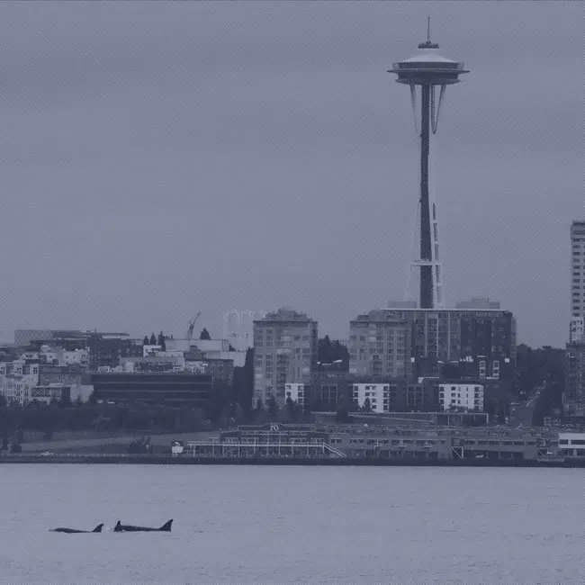 The NPR Politics Podcast — live from Seattle!