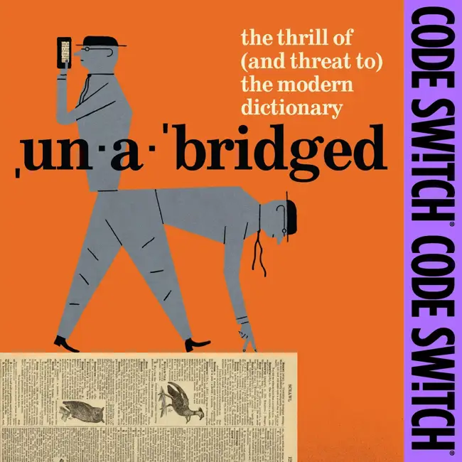 Racist slurs, naughty words, and how dictionary editors define them