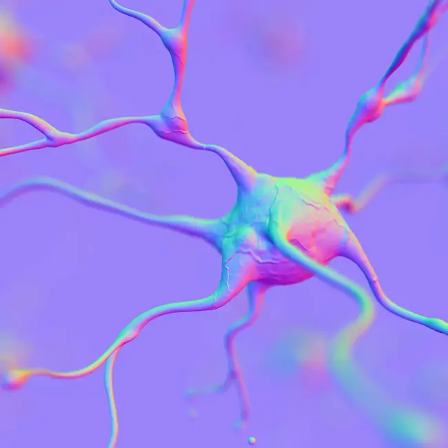 A new approach to brain health, one neuron at a time