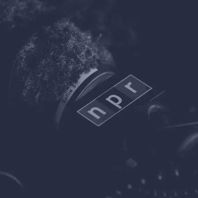 Welcome to the NPR Washington Desk