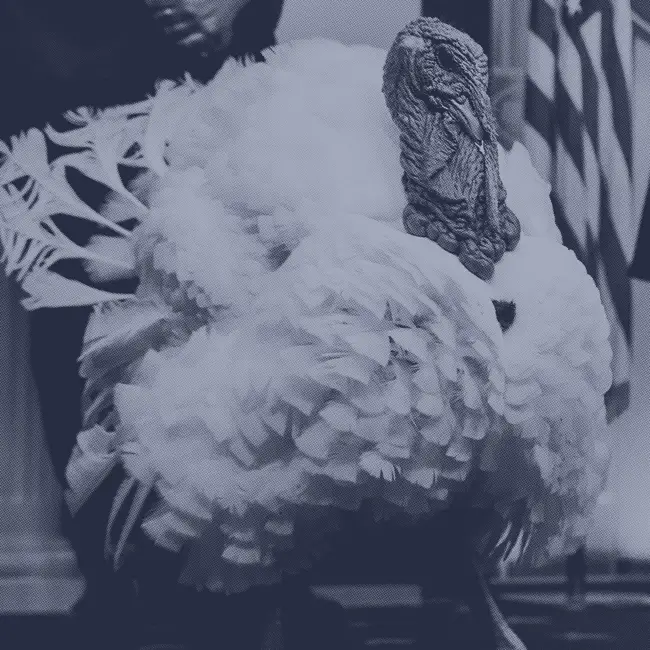 How To Avoid Talking About Politics This Thanksgiving