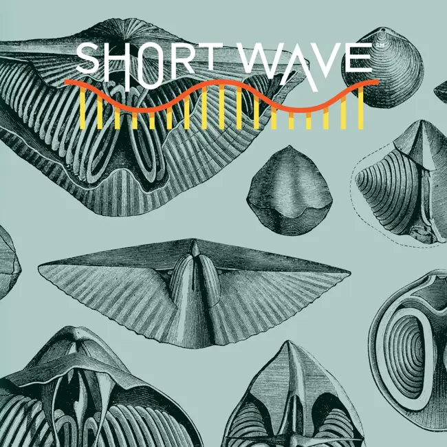 Why Some Species Survive Mass Extinctions