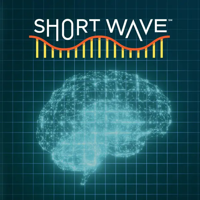 Mental ‘Workouts’ Could Keep Your Brain Young