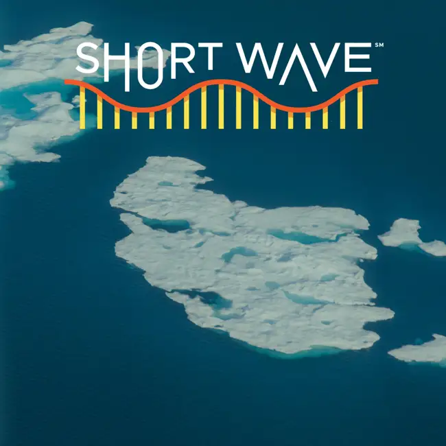 What Space Dust Reveals About Earth's Ice Age