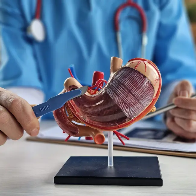The mystery that led this family to get their stomachs removed