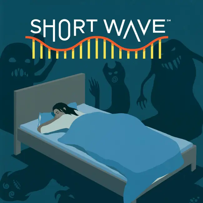 What's Up With Nightmares?