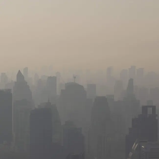 Could air pollution make your memory worse?