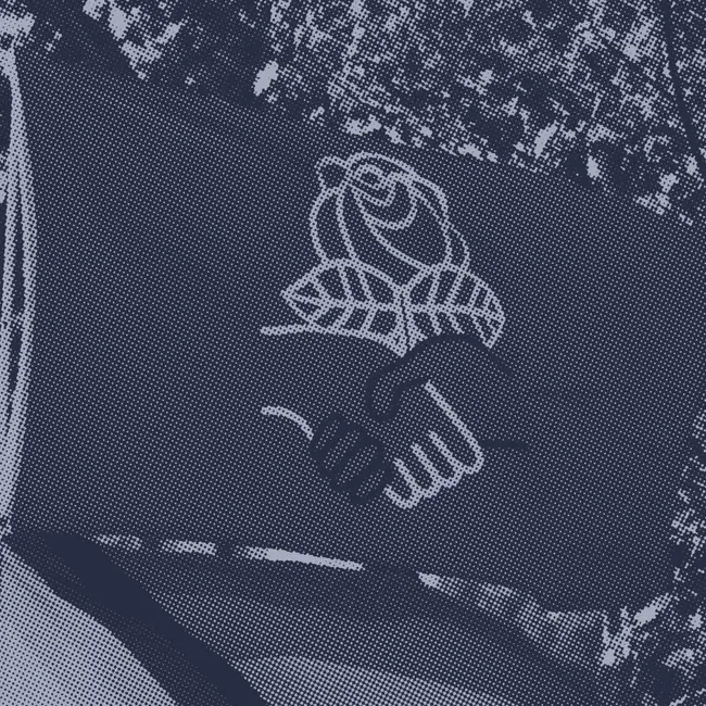 What is democratic socialism?