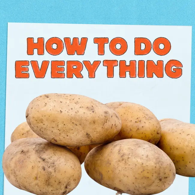 Talent Shows & Phone Call Etiquette