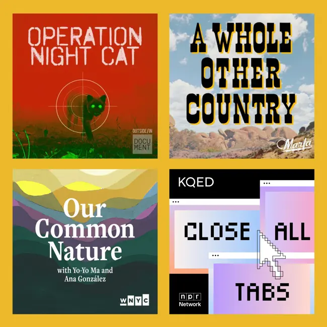 Your Next Great Listen