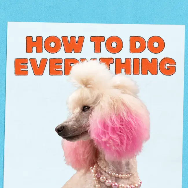 Broadway Musicals And Best In Show