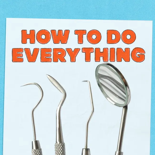 HTDE: Earthquakes, Dentists, and How To Talk To Your Dog