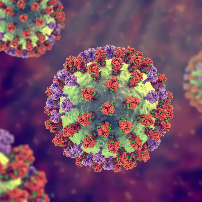 Never had the flu? Scientists may know why