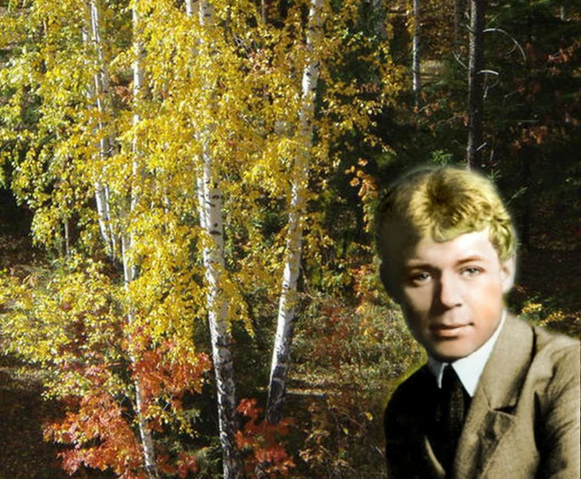 ???? Стихи. Сергей Есенин.