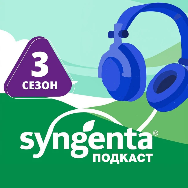 Здоровая почва. Обсуждаем биоту