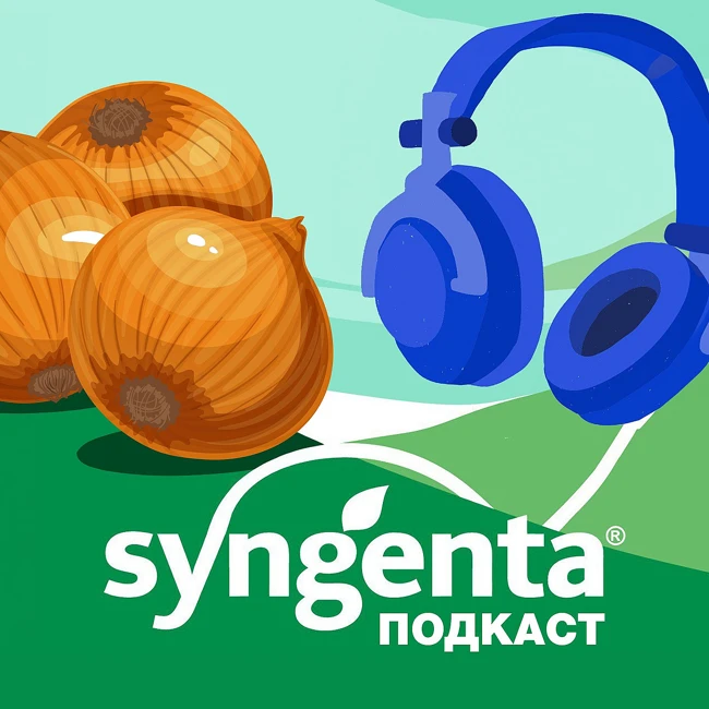 🧅 Луковая муха
