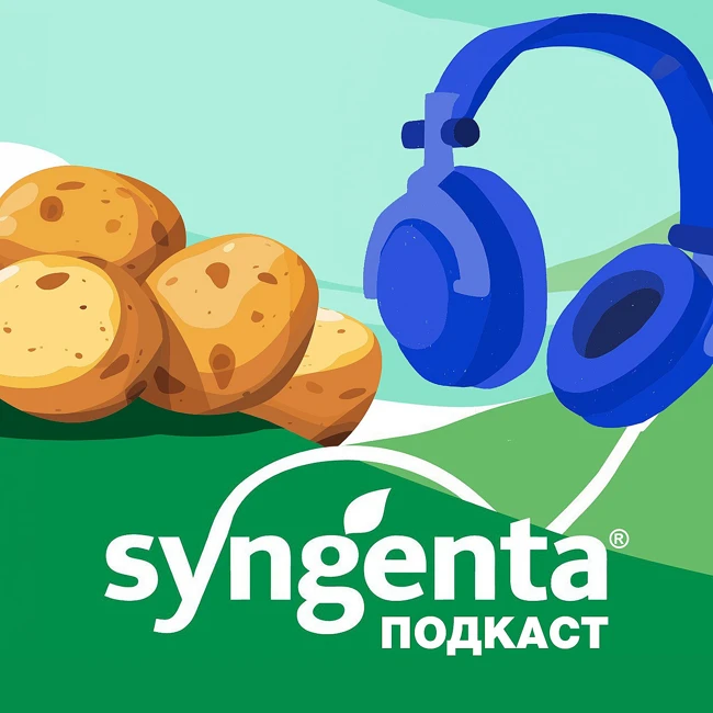 🥔 Альтернариоз картофеля: риски и решения