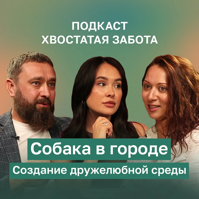 ПОДКАСТ ХВОСТАТАЯ ЗАБОТА: Собака в городе. Создание дружелюбной среды.