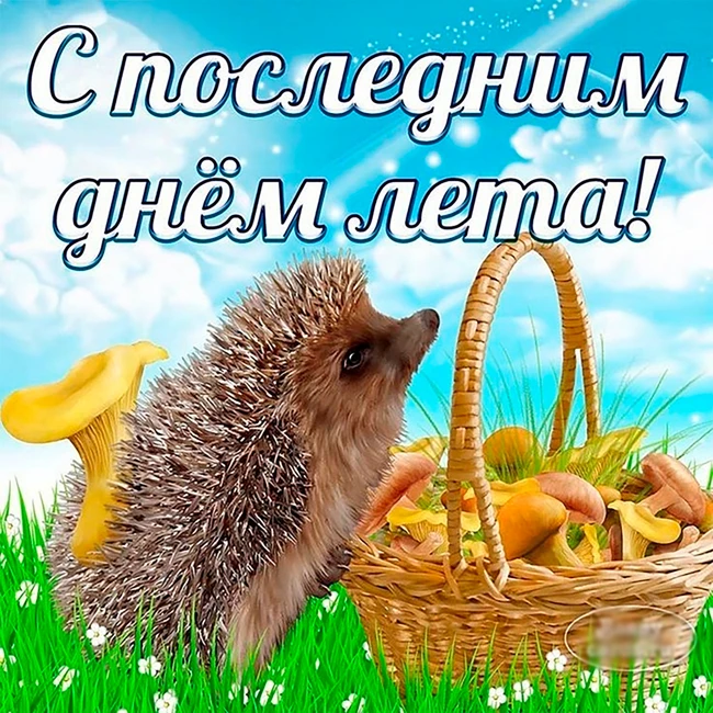 v.v.f. @ last summer day (31.08.2025)