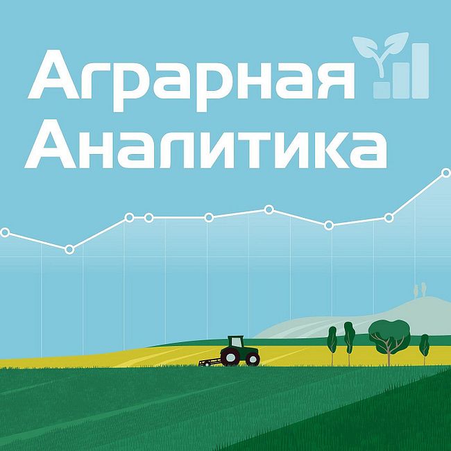 Зерновая кампания в России