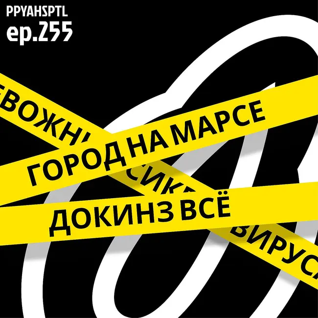 Город по цене двух твиттеров в Papaya Hospital №255