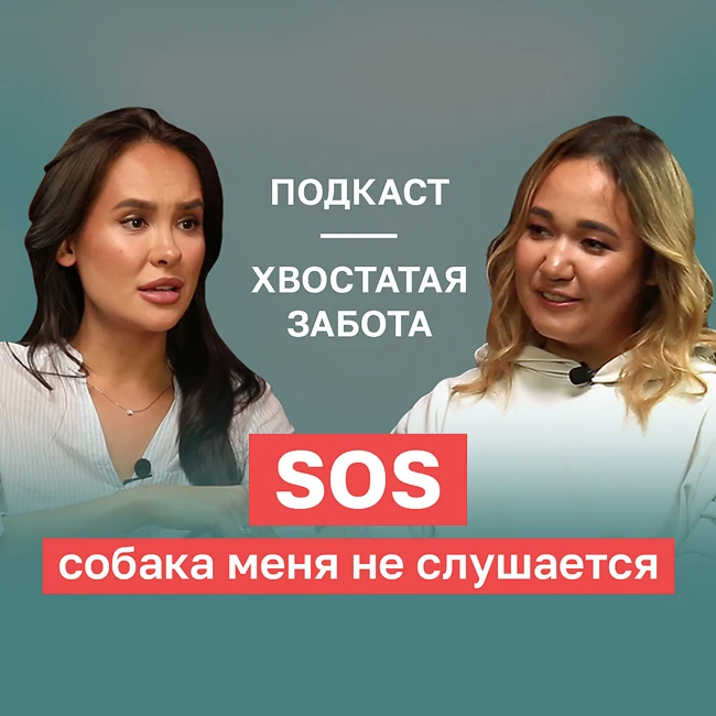 ПРЕМЬЕРА ПОДКАСТА «ХВОСТАТАЯ ЗАБОТА» #6. SOS! Собака меня не слушает