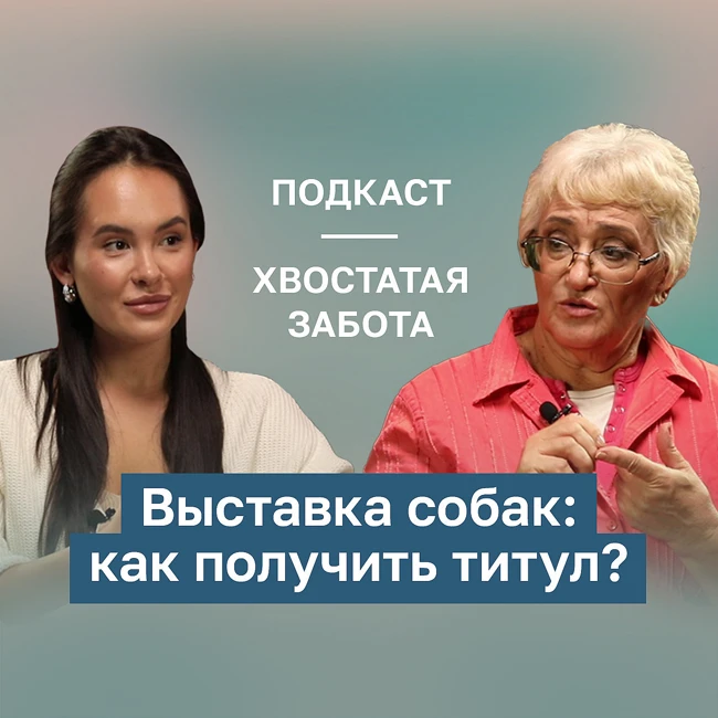 ПОДКАСТ ХВОСТАТАЯ ЗАБОТА #7: Выставка собак: как получить титул?