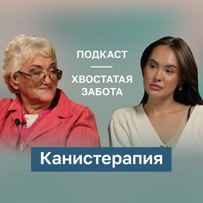 Канистерапия: собаки, которые лечат