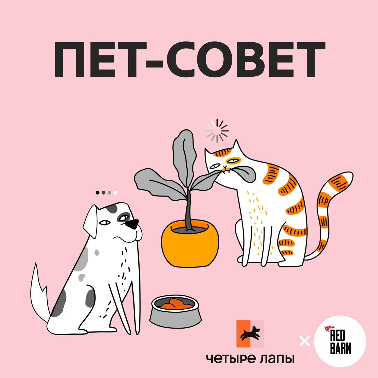 Пет-совет