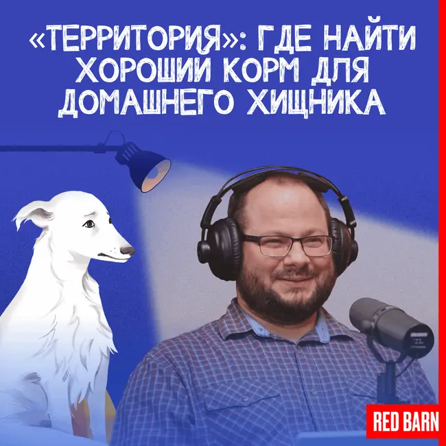 «Территория»: где найти хороший корм для домашнего хищника