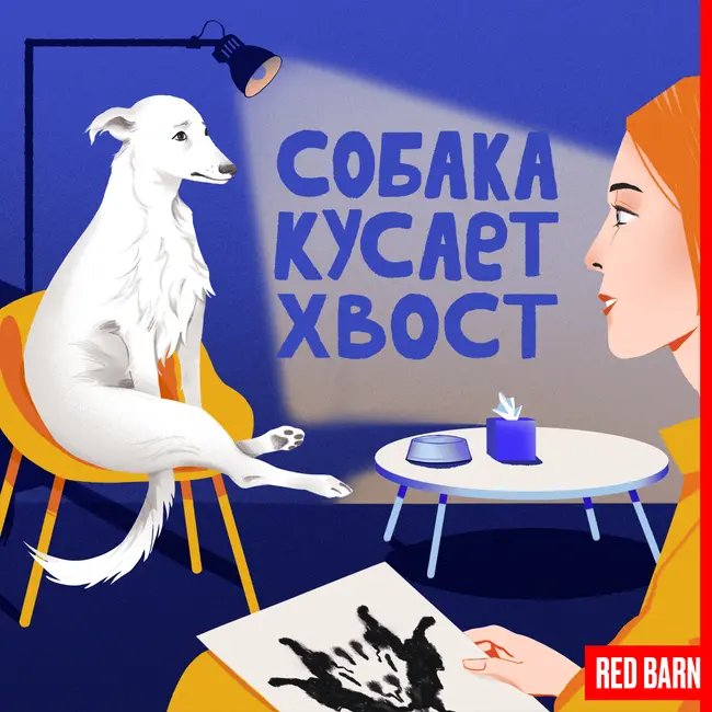 Зачем питомцу массаж