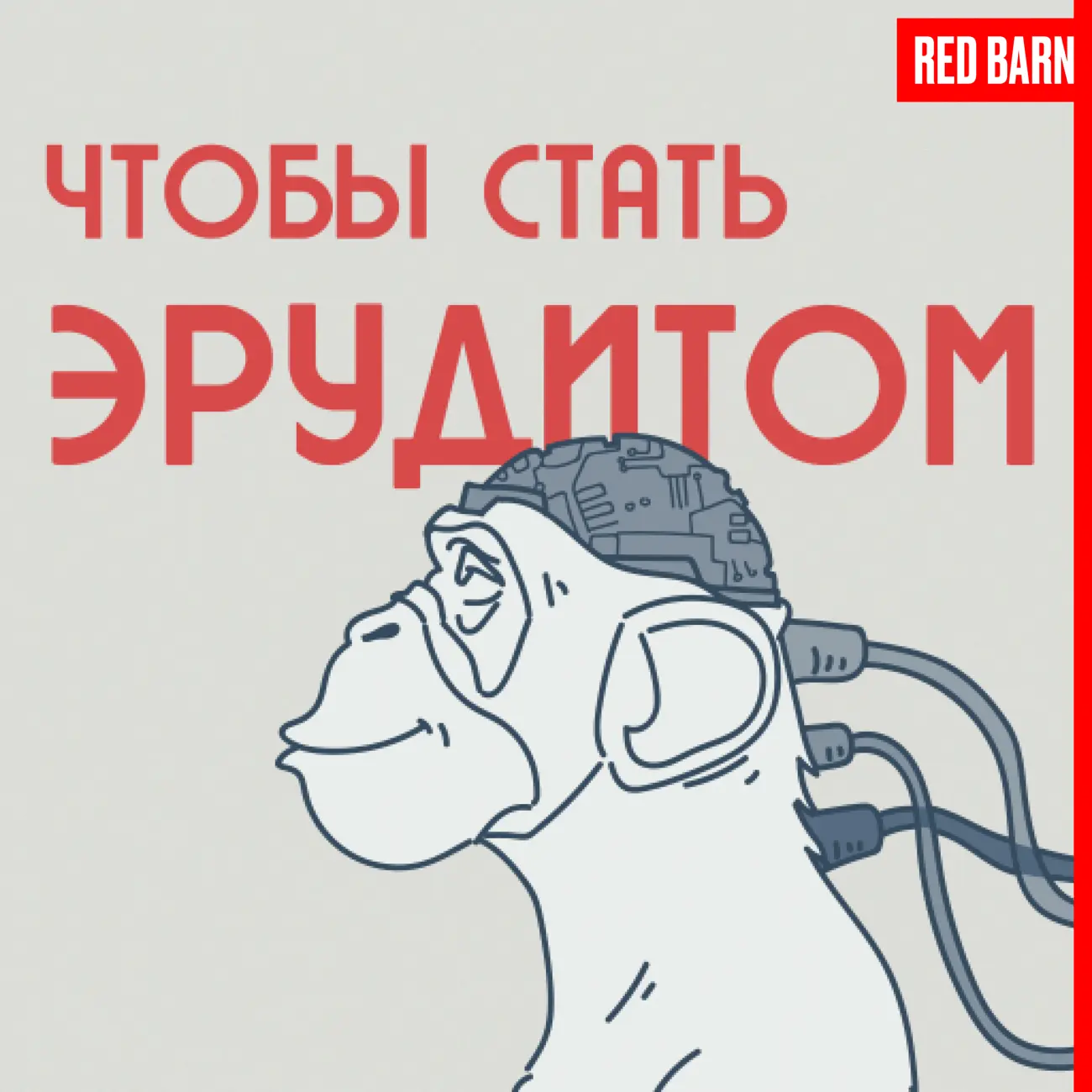 Чтобы стать эрудитом