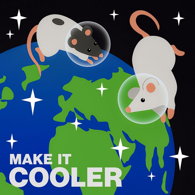 Альфия Николенко, как я переехала в Австралию и создала подкаст Make it cooler