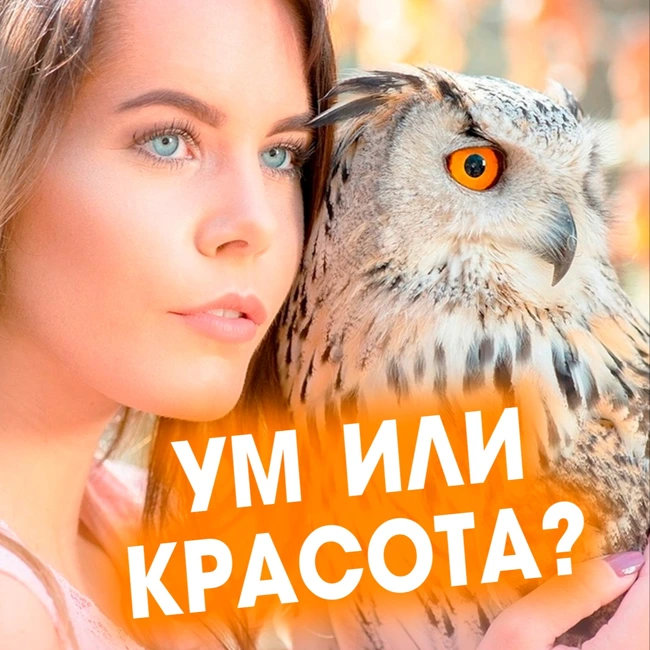 ЛЮБЯТ УМНЫХ ИЛИ КРАСИВЫХ? Александр Ковальчук 💬 Психолог Отвечает
