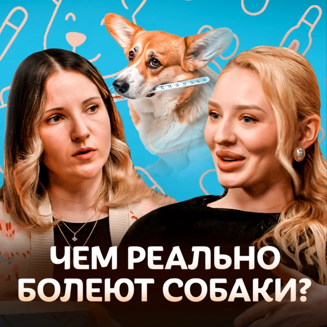 Чем реально болеют собаки? Ветеринар о профилактике и лечении болезней