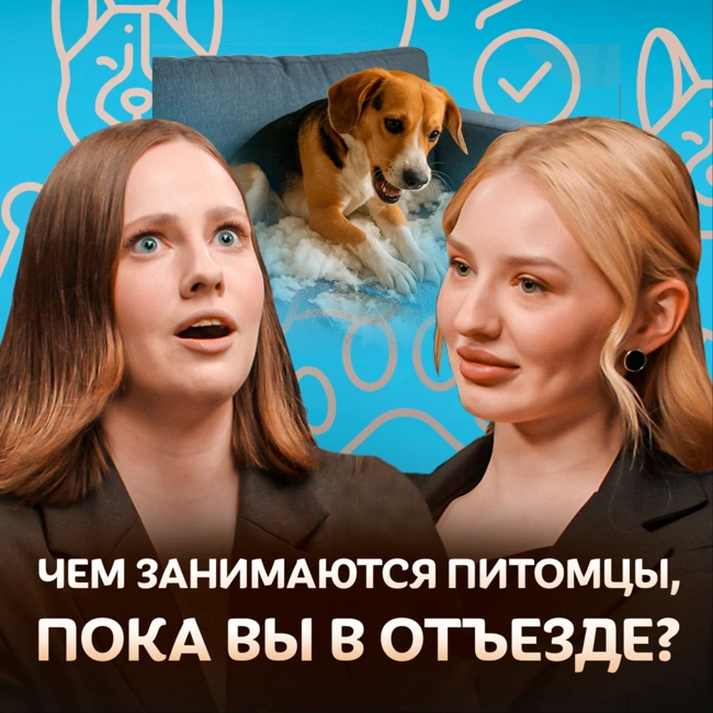 Как передержка собак стала семейным бизнесом? Догситтер о передержке / Догси Подкаст #4