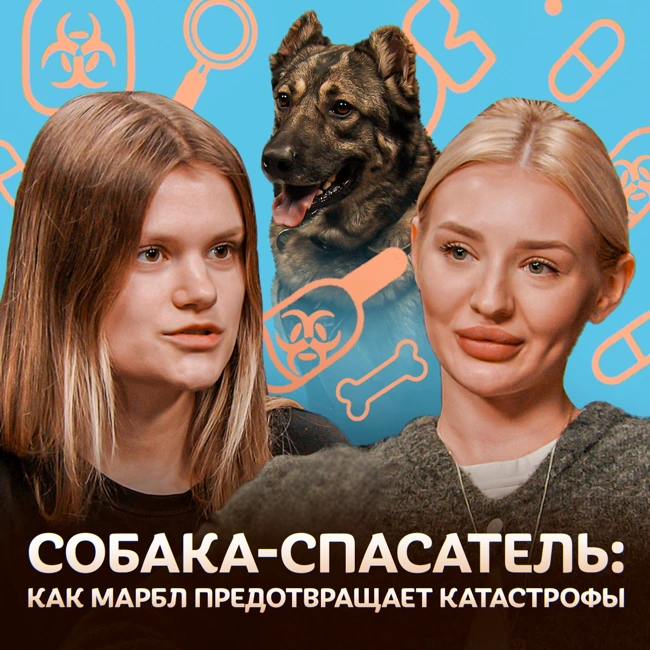 Собака-спасатель: Как собаки предотвращают катастрофы / Догси Подкаст #5