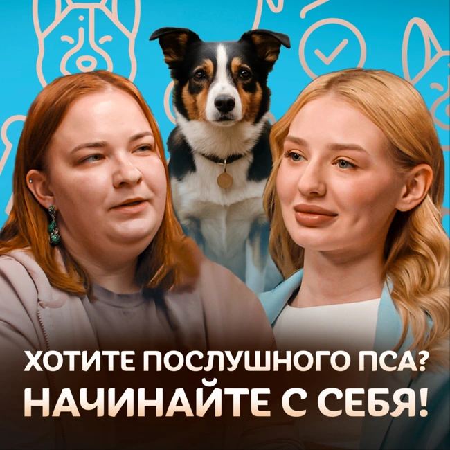 Почему собака не слушается? Кинолог о дрессировке собак / Догси подкаст #3