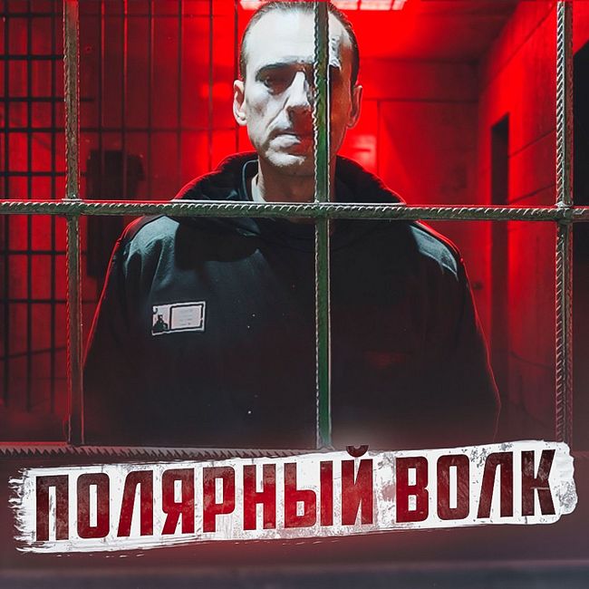 🇷🇺 ПОЛЯРНЫЙ ВОЛК // Зона, где умер Навальный