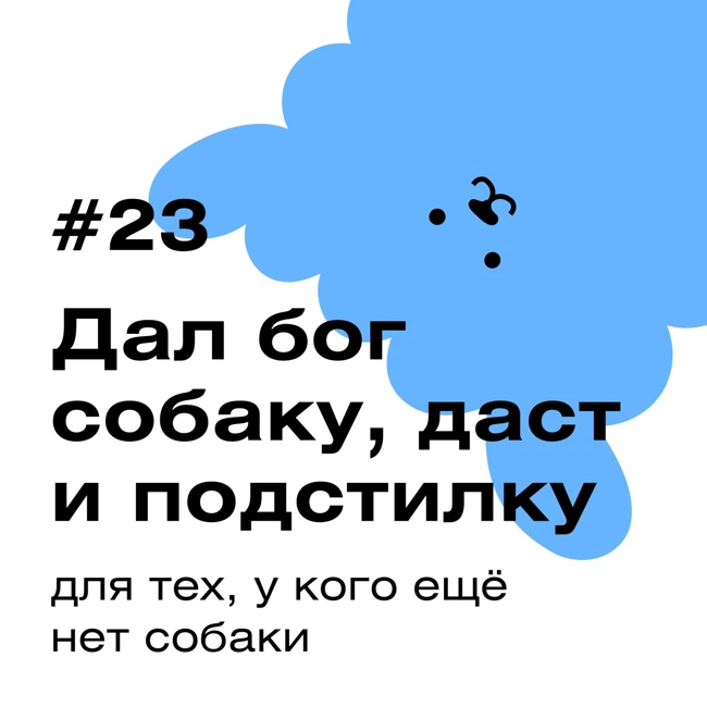 «Дал бог собаку, даст и подстилку» 🦮🐕 Для тех, у кого еще нет собаки