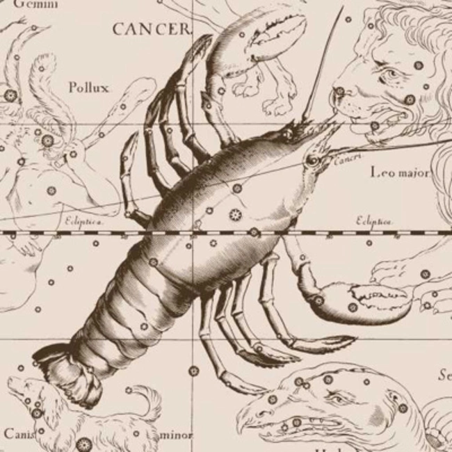 8. Созвездие Рак. Cancer