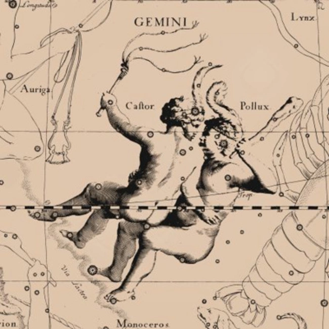 7. Созвездие Близнецы. Gemini